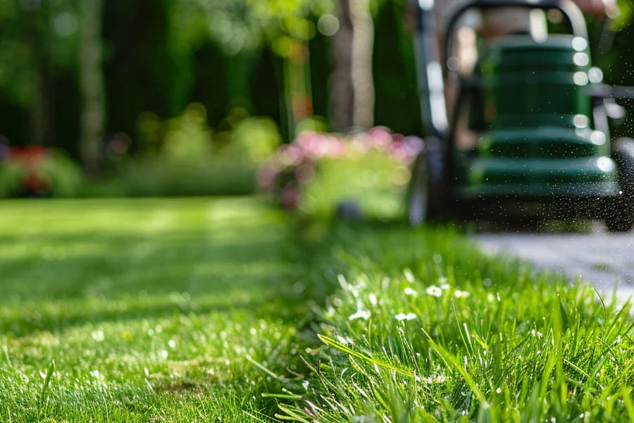 small battery lawn mower