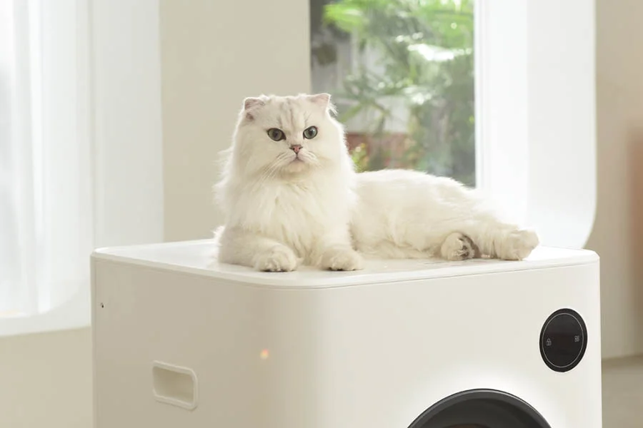 best cat litter box for odor